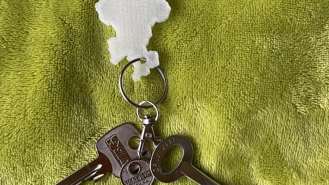 Sleutelhanger Provincie Overijssel