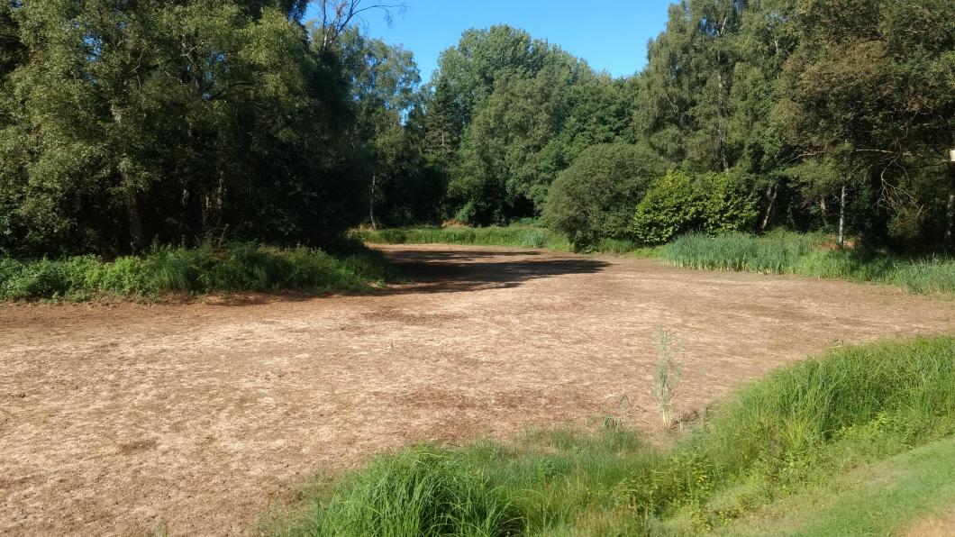 droogte zomer 2018