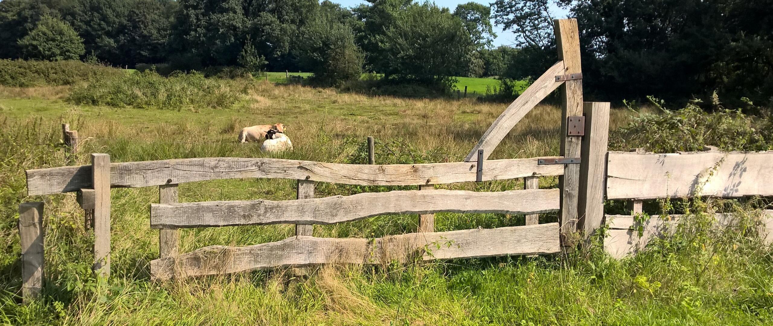 natuurkwaliteit