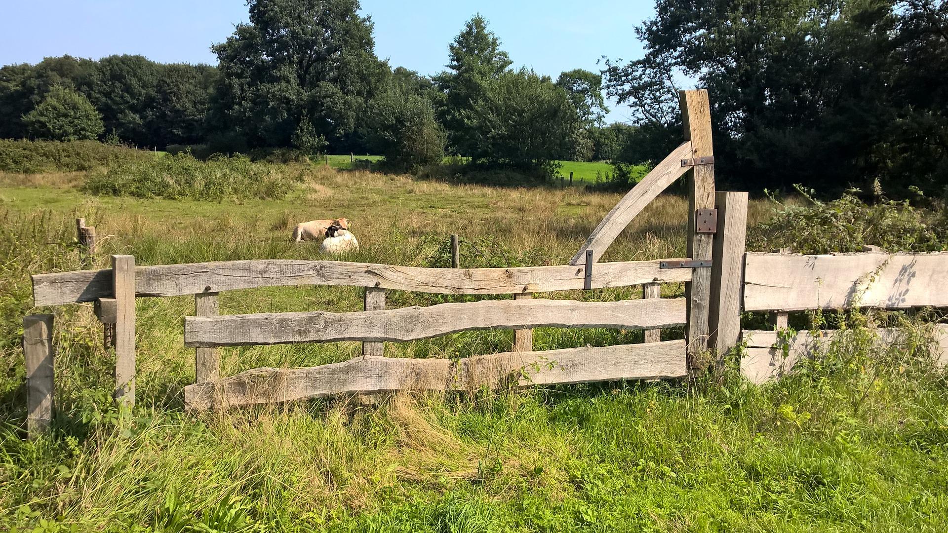 natuurkwaliteit