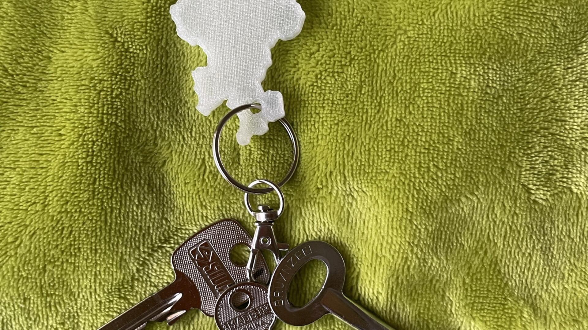 Sleutelhanger Provincie Overijssel