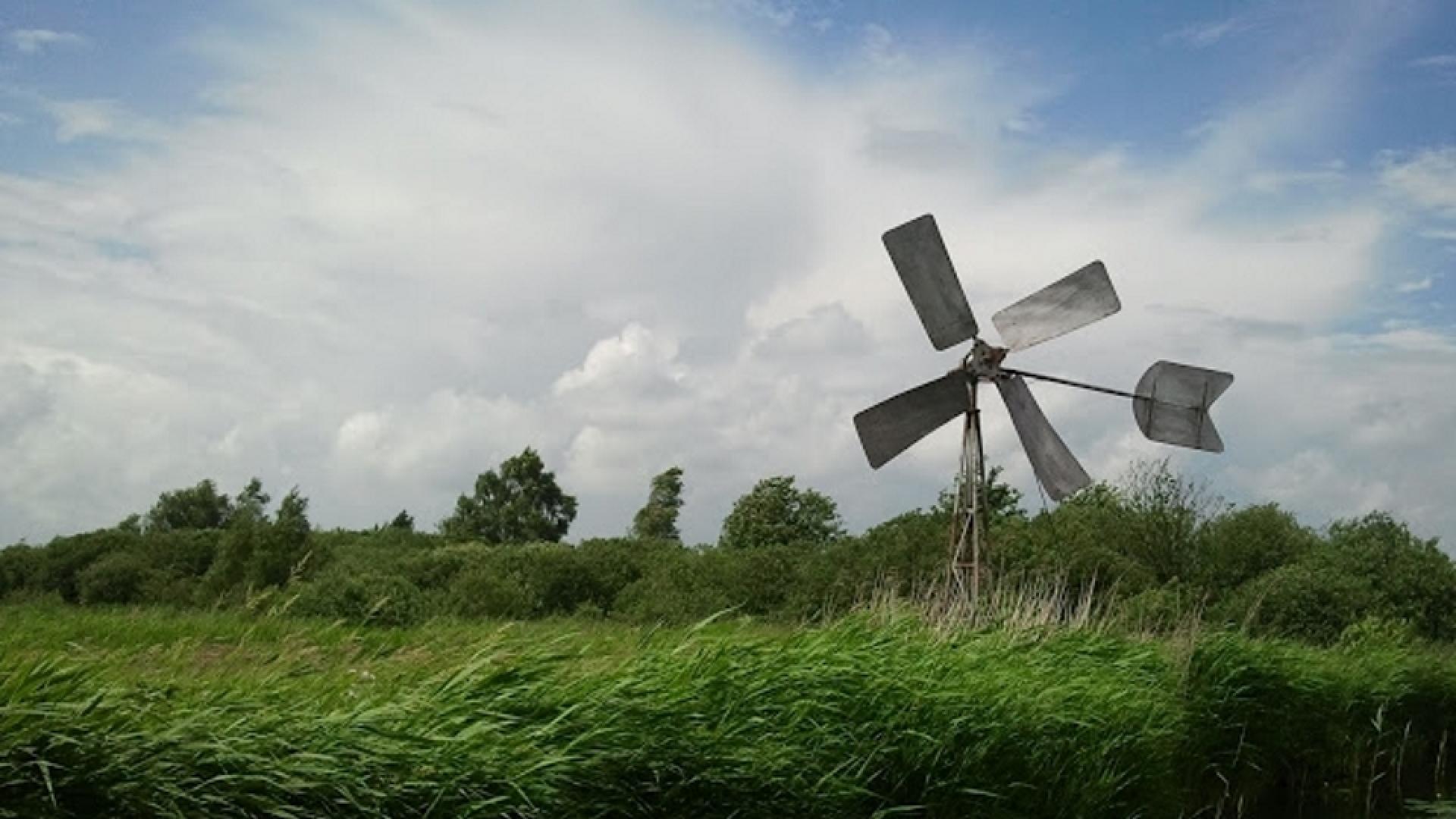 Wieden Weerribben