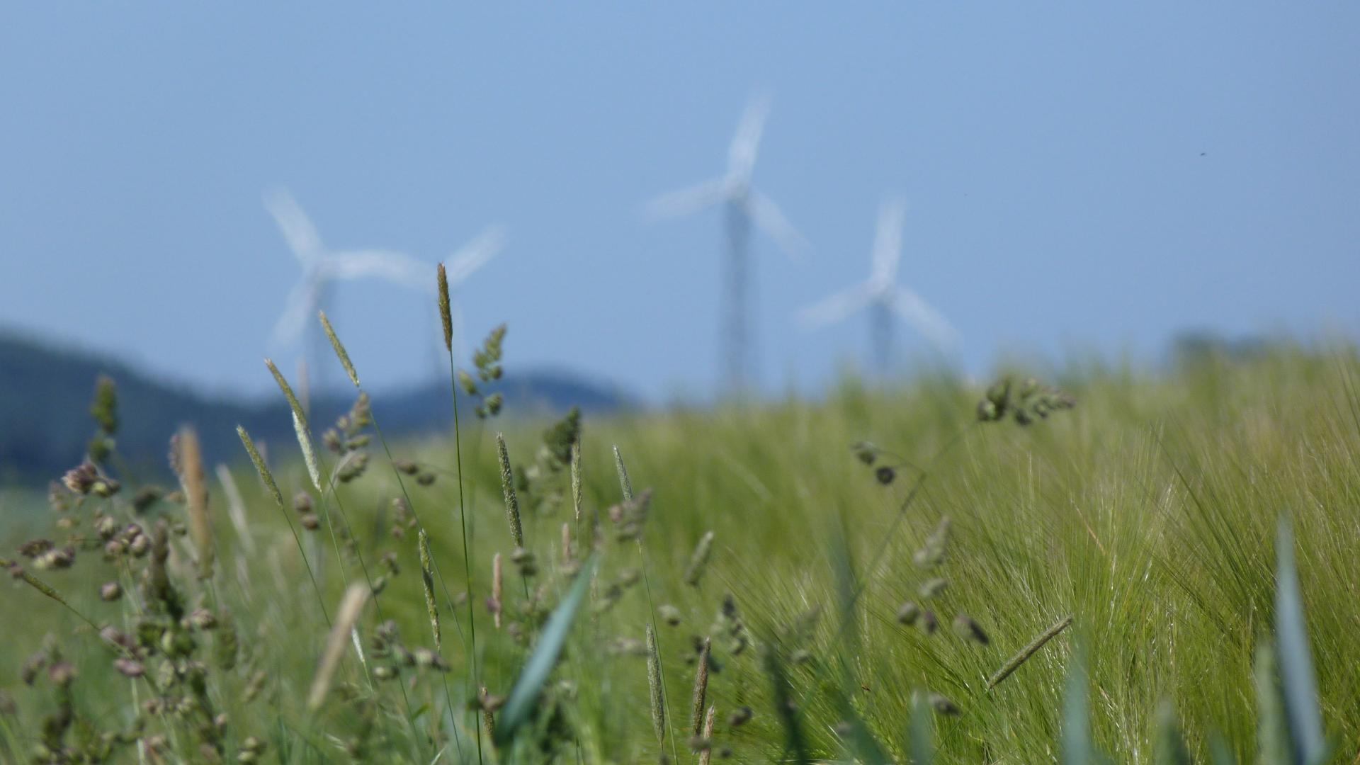 windturbine