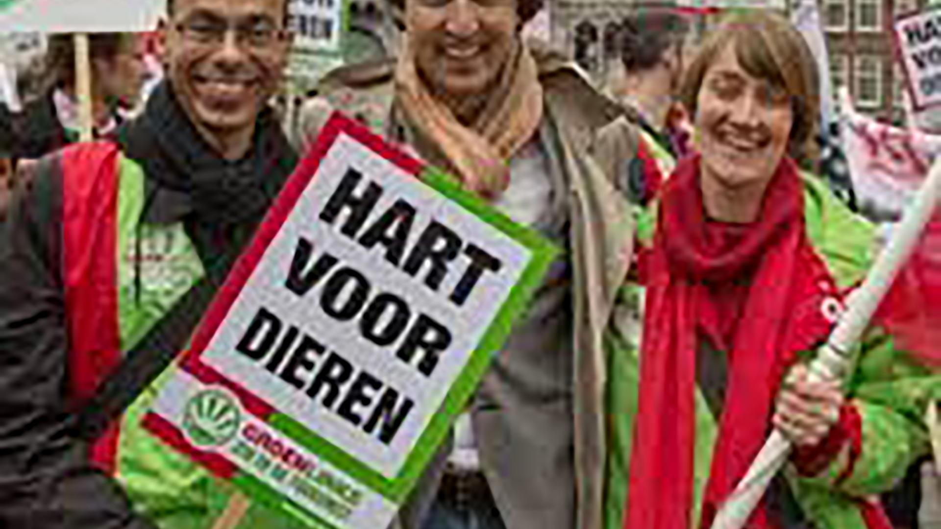 Demonstratie Megastallen 1.jpg